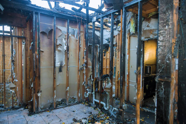 Professional Fire Damage Removal technician working in Ocean Pines, MD
